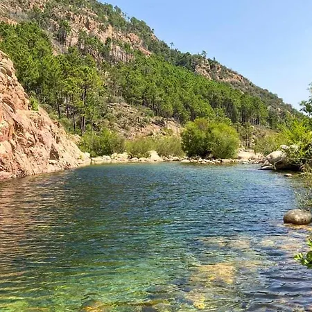 Awesome In San-gavino Di Carbini