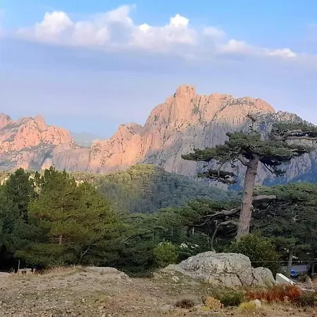 Awesome In San-gavino Di Carbini Semesterbostad San-Gavino-di-Carbini